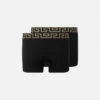 Greca Border Long Trunks 2-Pack